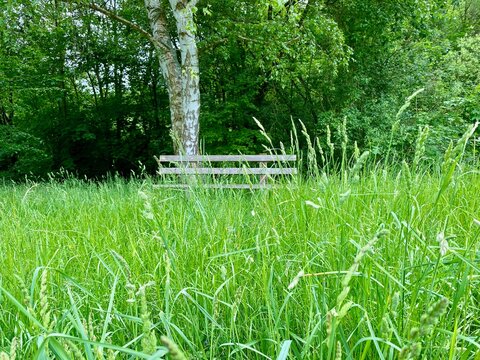 eine Rast in Hainrode in der Hainleite