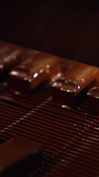 Bars of sweets poured with chocolate. Chocolate bars move along conveyor belt at confectionery factory for the production of sweets. Vertical video
