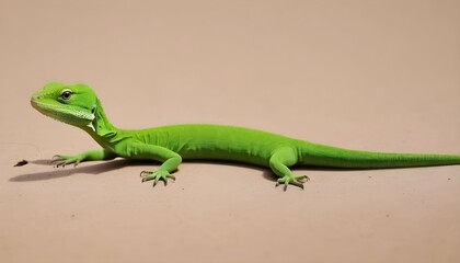 A Lizard With A Tail Shaped Like A Question Mark
