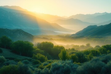 Dazzling Sunrise Casting a Warm Glow