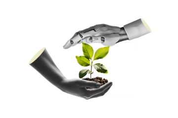 Robot hand and human hand holding a young plant isolated against free png background. Sustainable development in the field of agriculture and artificial intelligence.