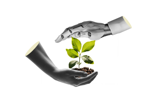 Robot hand and human hand holding a young plant isolated against free png background. Sustainable development in the field of agriculture and artificial intelligence.