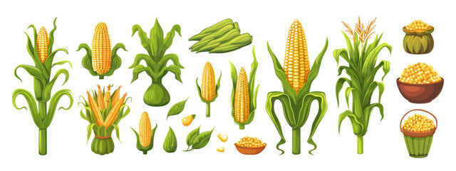 Corn cartoon vector set. Cob popcorn seeds stems leaves harvest farming agriculture vegetable plant, illustration isolated on white background