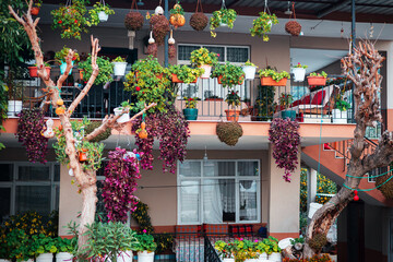 Balcony filled with hanging plants and decorations