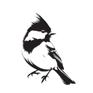 recommend clip art: Titmouse in cartoon, doodle style . Image for t-shirt, web, mobile apps and ui. Isolated 2d vector illustration in logo, icon, sketch style, Eps 10, black and white. AI Generative