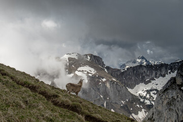 Landscape view of the Swiss Alps, shot in Valais, Switzerland,nature,natural,mighty