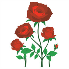 Realistic vector red roses (petals, leaves, bud and an open flower) with the ability to change the appearance of the flower. Vector set of branches of red roses isolated on a white background.
