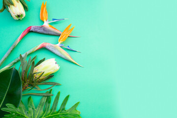 Tropical leaves and flowers over green background