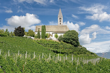 Church St.Vigilius in Vineyard of Kurtatsch an der Weinstrasse,South Tyrol,Trentino,Italy