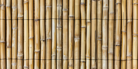 Light brown bamboo poles together as a wall background texture
