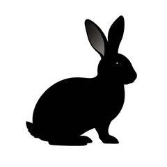 Obraz premium bunny silhouetteon on transparent background