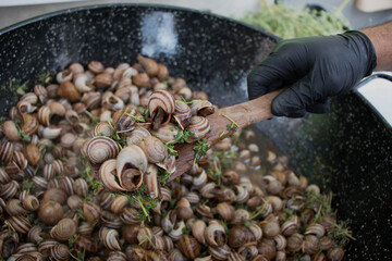 Hand with black glove showing, with a ladle, a handful of snails from a stew of these mollusks.