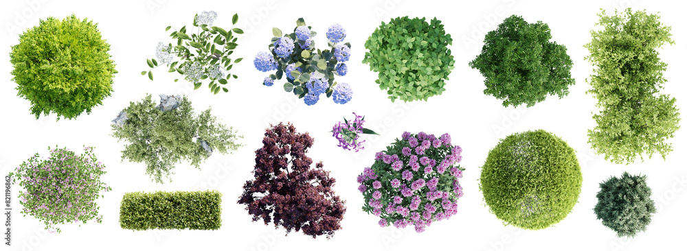 Poster different types of garden plants isolated on transparent background. top view. 3d render.