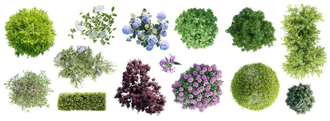 Different types of garden plants isolated on transparent background. Top view.  3D render.