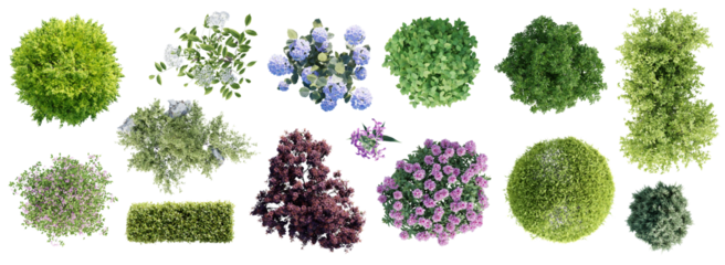 Different types of garden plants isolated on transparent background. Top view.  3D render.