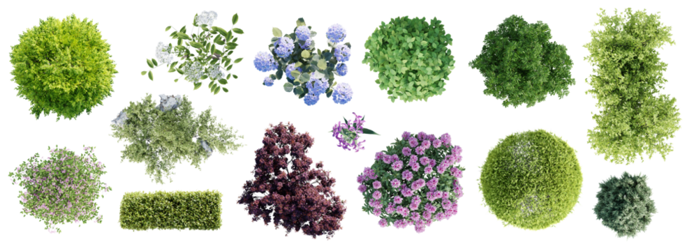 Different types of garden plants isolated on transparent background. Top view.  3D render.