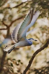 Fototapeta premium great blue heron