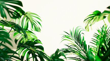 Tropical leaves pattern with monstera and palms - A vibrant pattern of tropical leaves featuring monstera, palms, and other greenery, ideal for backgrounds