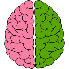 Fototapeta premium Illustration of left and right brain hemispheres