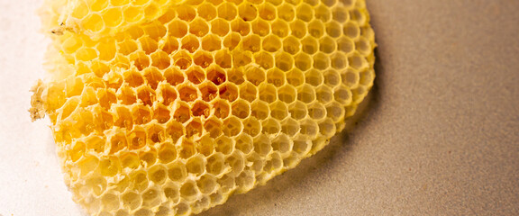 Close-up of a honeycomb slice with honey, featuring a detailed view of the hive's texture and...