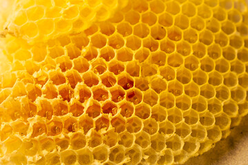 Closeup of a honey bee on a honeycomb with hexagonal cells, showcasing the intricate pattern and golden texture of beeswax.
