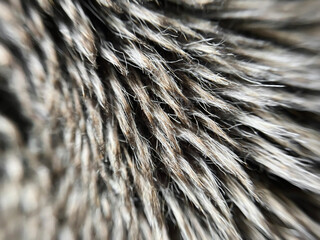 brown faux fur close up