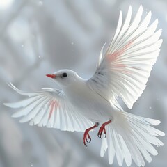 a white bird with red beak flying in the air