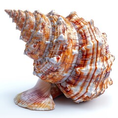 Obraz premium a close up of a large shell on a white surface