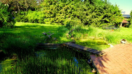 natürlicher Teich in grünem Garten an roter Terrasse angrenzend mit schöner Holzbrücke im Frühling