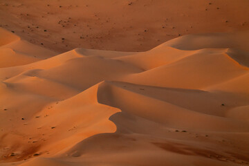 Dunes in the desert IV