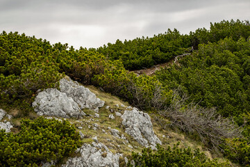 The view depicts a mountain towering over a valley, with lush greenery contrasting the rugged terrain.