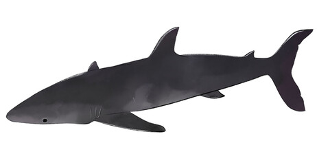 Shark cartoon