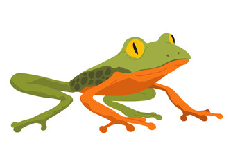 Frog or toad, amphibian animal. Type of froggy. Exotic tropical reptile. Flat vector illustration on white background