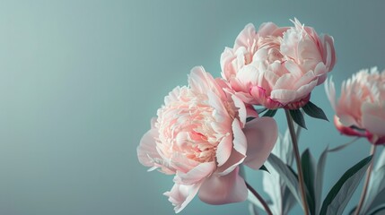 peony flowers with space to write generative ai