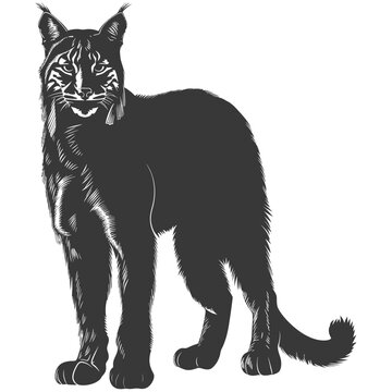 recommend clip art: Silhouette bobcat animal black color only