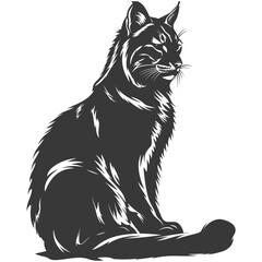 Obraz premium Silhouette bobcat animal black color only