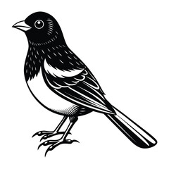 A beautiful towhee vector silhouette illustration.eps