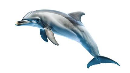 Obraz premium Graceful Dolphin Gliding Through the Water, Illustration of Marine Life. Ideal for Educational Material and Nature Projects. Realistic Digital Artwork. AI