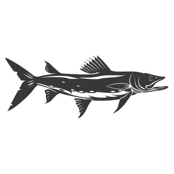 recommend clip art: Silhouette Barracuda animal black color only