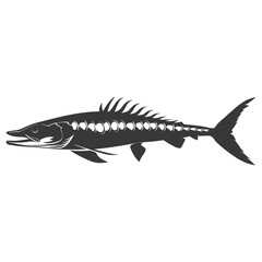 Silhouette Barracuda animal black color only