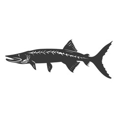 Silhouette Barracuda animal black color only