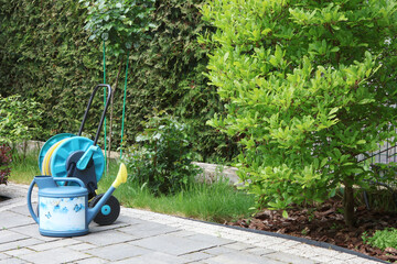 Watering hose on reel, watering can in backyard in spring. Hedges, lawn and shrubs, stone tile...
