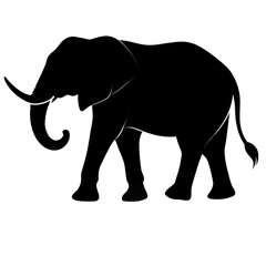 Obraz premium elephant silhouette on transparent bg