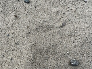 Sandy Beach Background