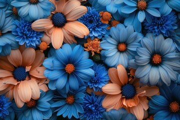 a bunch of blue and orange flowers that are on top of a bed of other blue and orange flowers that are on top of each other blue and orange flowers.