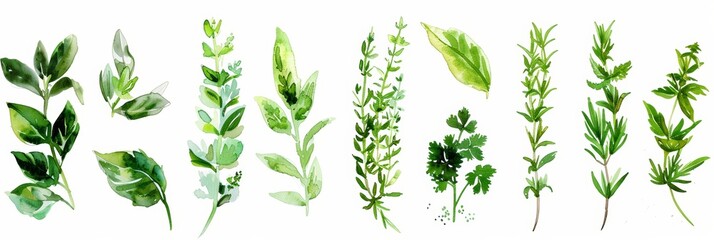 Fresh Herbs and Spices on White Background Generative AI