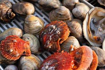 View of the seashells for cooking in the restaurant