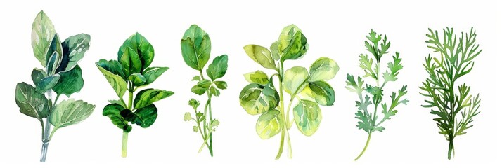 Mediterranean Cooking Herbs on White Background Generative AI