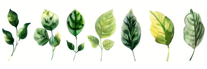 Watercolor Herbs on White Background for Nature Designs Generative AI