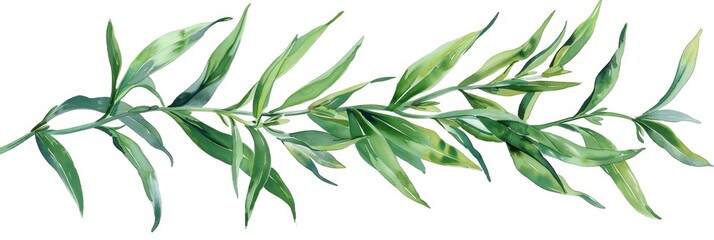 Fresh Green Tarragon Illustration for Cooking and Recipes Generative AI